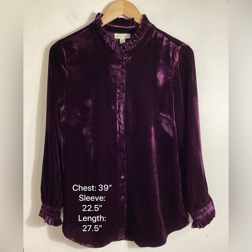 Royalcore Velvet Button Up Top S Whimsigoth Artsy Romantic - Picture 4 of 15